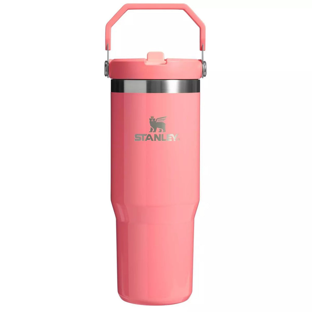 Stanley 30 oz Stainless Steel IceFlow Flip Straw Tumbler - e.l.f
