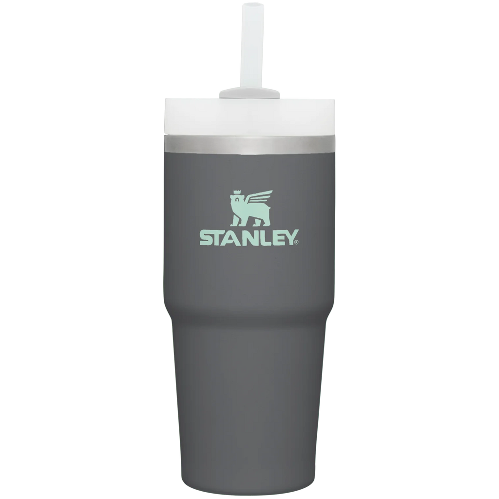 The Quencher H2.0 FlowState™ Tumbler  | 14 OZ - Stanley Create